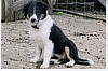 4 months old